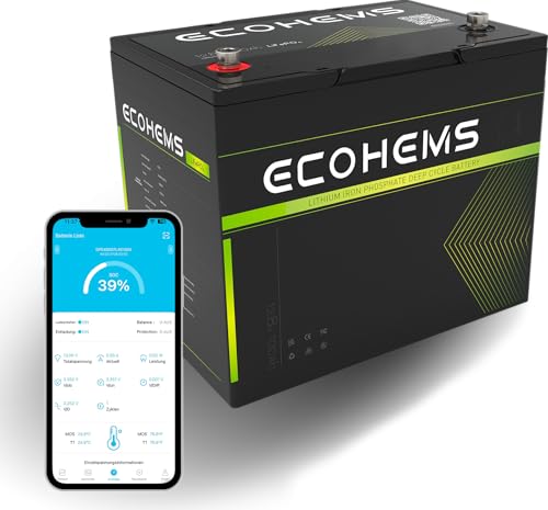 ECOHEMS 12V 100Ah LiFePO4 Batterie