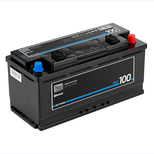 ECTIVE NaC 100 BT Natrium-Ionen-Batterie